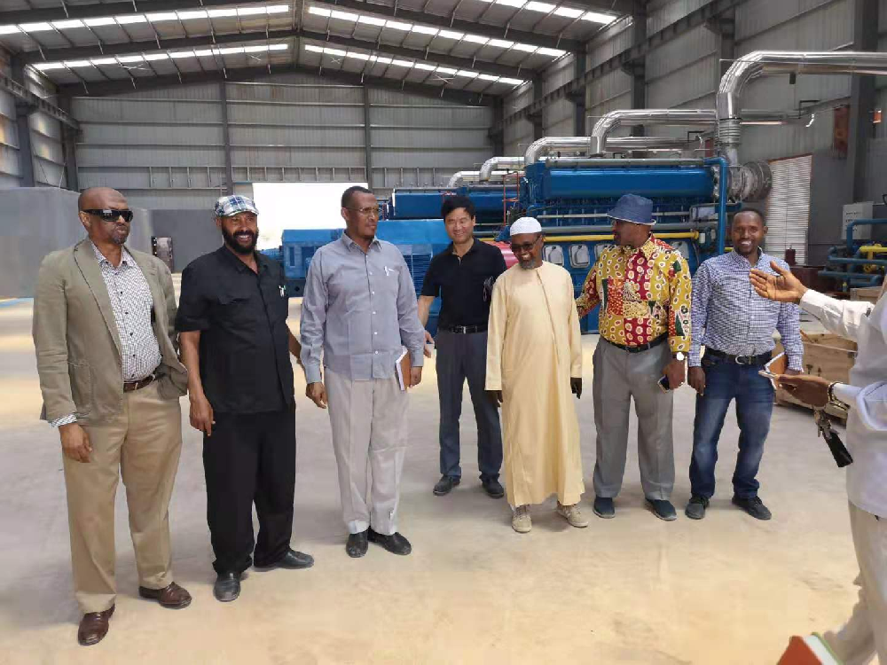 全球最大光柴互补电站在索马里兰投运，助力区域能源转型